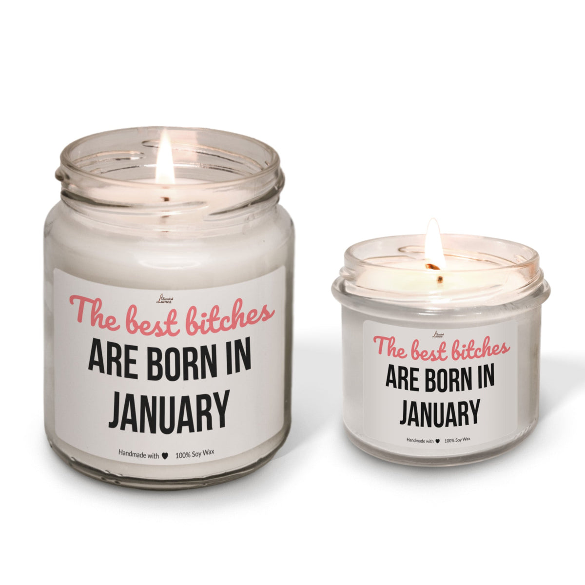 The best bitches are born in January Scented Soy Candle