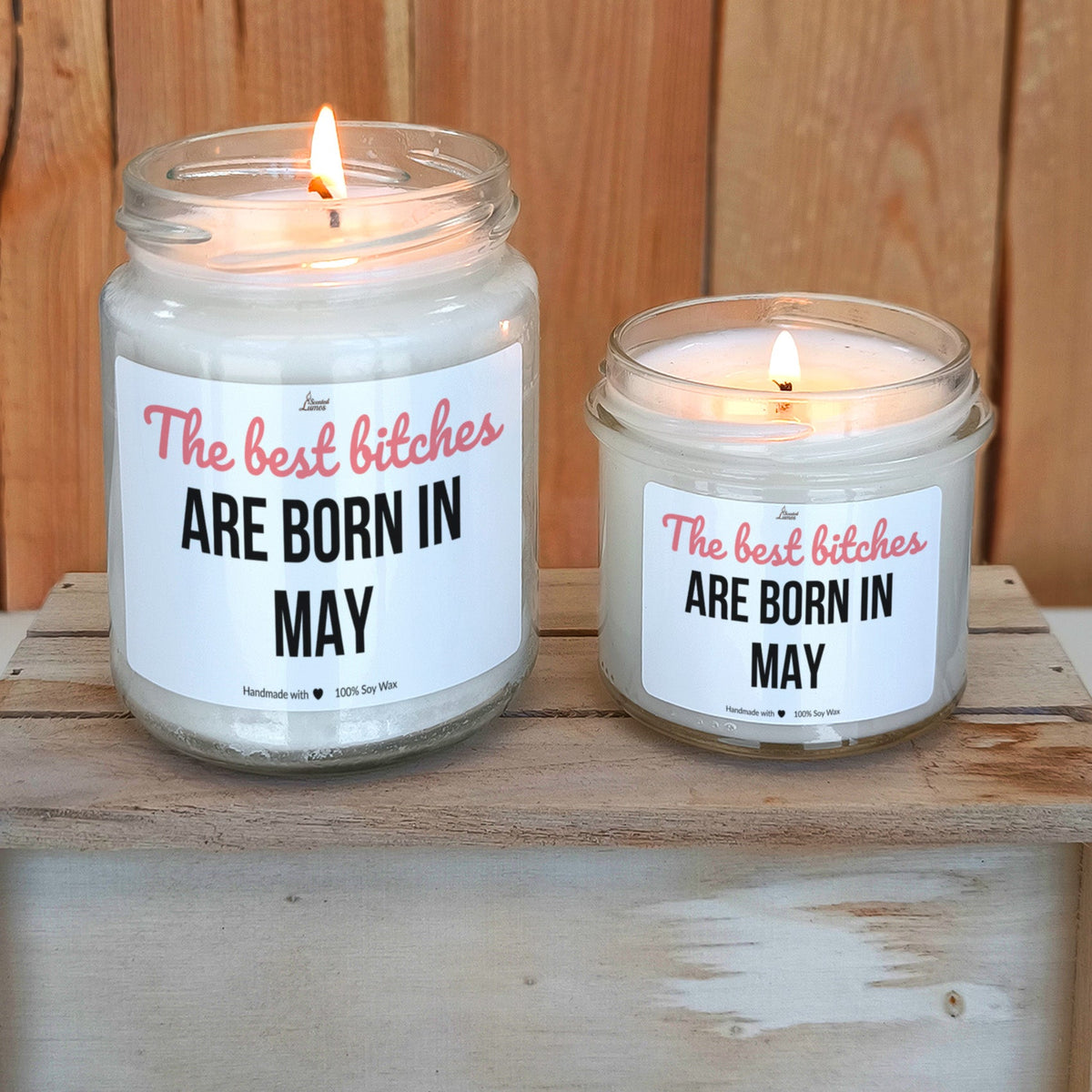 Best bitches are born in May Scented Soy Candle