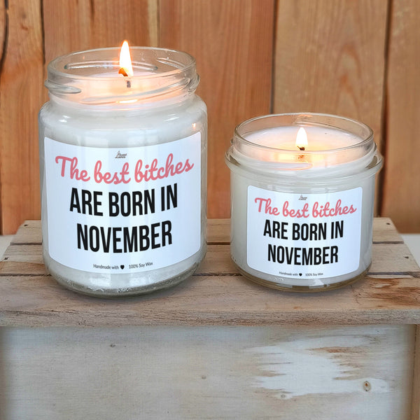 Best bitches are born in November Scented Soy Candle
