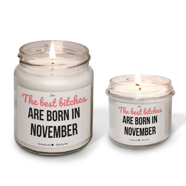 Best bitches are born in November Scented Soy Candle